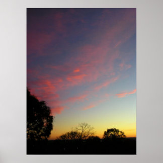 Nature's Canvas Poster
