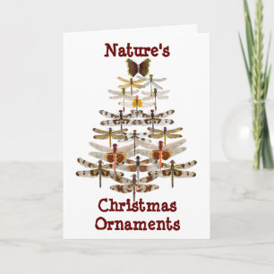 Nature's Christmas Ornaments Holiday Card