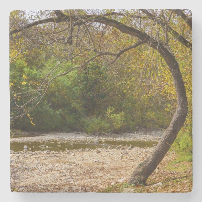 Natures Circle Stone Coaster (Front)