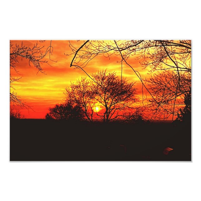 NATURES CONCERT OF COLOR  PHOTO PRINT (Front)