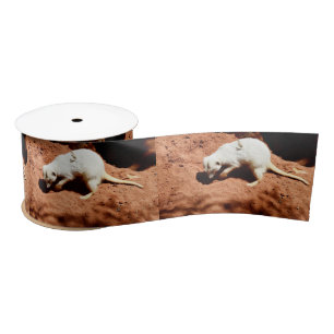 Nature's Forager: White Meerkat Digging for Bugs Satin Ribbon