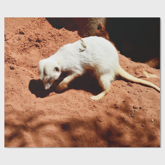 Nature's Forager: White Meerkat Digging for Bugs Wrapping Paper (Flat)