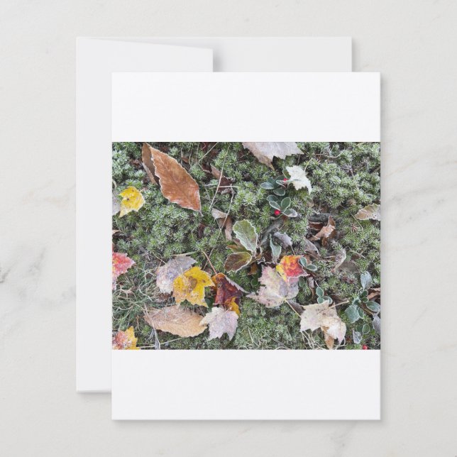 Natures frost, Flat Note Card (Front)