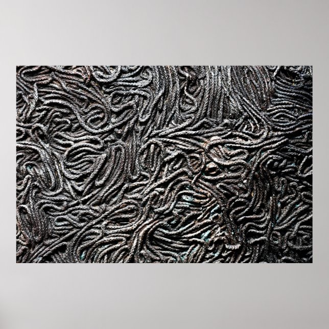 Nature's Geometric Flow Poster (Front)