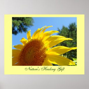 Nature's Healing Gift art print Yellow SunFlower