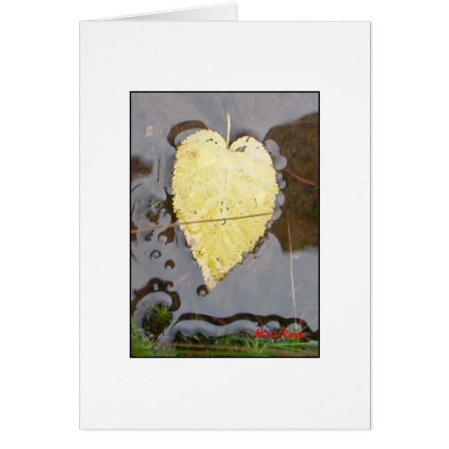 Nature's Heart (Front)