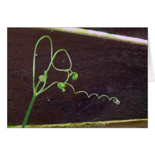 Nature's Heart Strings