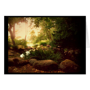 Natures Hideaway