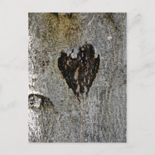 Nature's Love Postcard