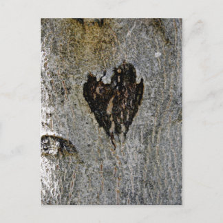 Nature's Love Postcard