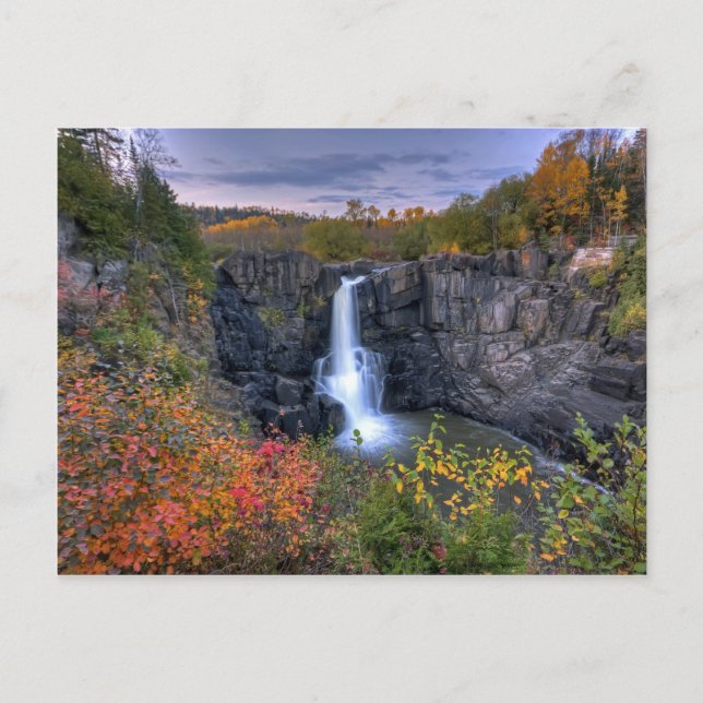 Natures Magic Postcard (Front)