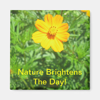 Natures Magnet