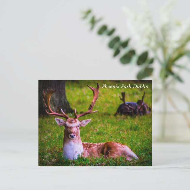 Nature's Majesty in Phoenix Park Holiday Postcard (Standing Front)