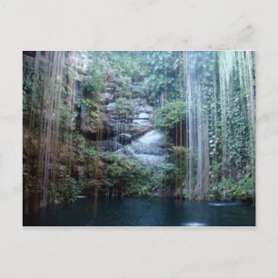 Nature's Masterpiece Postcard