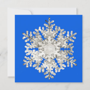 Nature's Perfection Brilliant Blue Snowflake Holiday Card