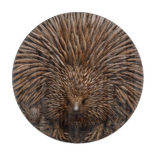 Nature's Quill: The Australian Echidna in Wood, Cutting Board