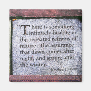 Natures repeated refrain Magnet
