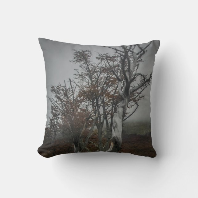 Nature's Resilience: Tierra del Fuego Forest, Arge Cushion (Front)