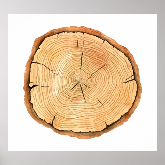 Nature's Rings: Tree Texture Triumph Poster (Front)