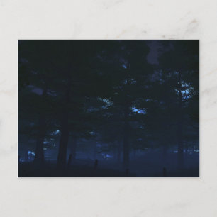 Nature's Secret Postcards