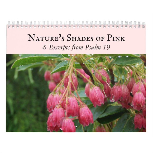 Nature's Shades of Pink Scripture Sky Floral Calendar (Cover)