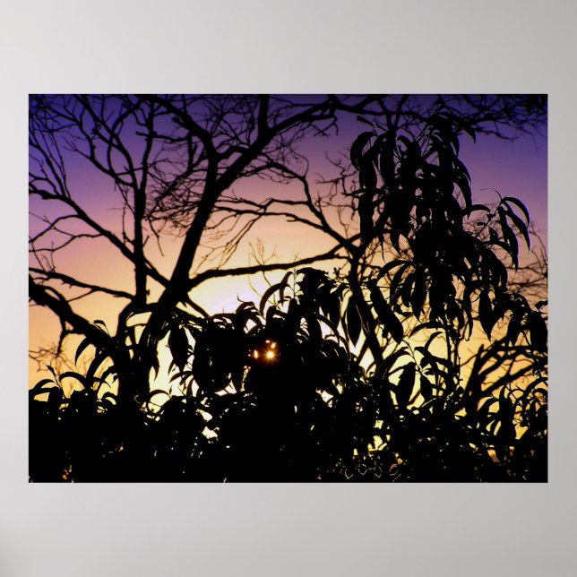 Nature's silhouette Poster (Front)