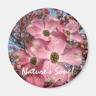 Nature's Song! magnet Pink Dogwood Flowers