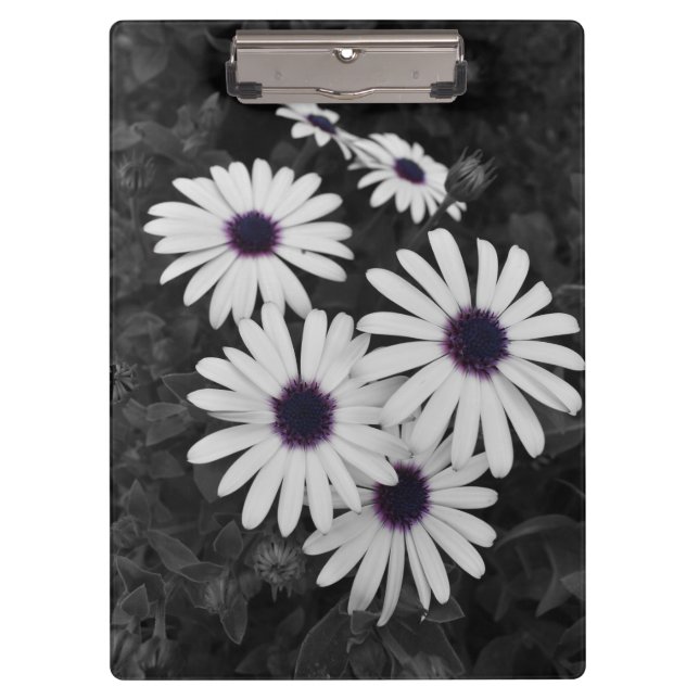 Nature's Subtle Contrast Clipboard (Front)