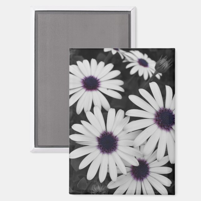 Nature's Subtle Contrast Magnet (Front/Back)