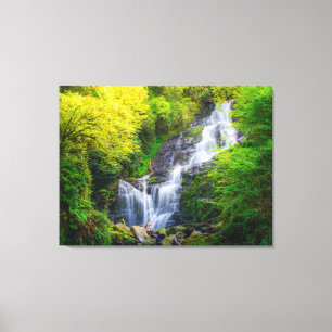 Nature's Symphony: The Cascades of Killarney Canvas Print