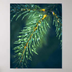 Nature's Tapestry: Capturing the Beauty of Leaves Poster