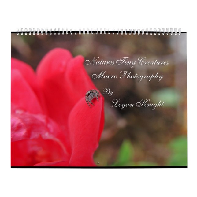 Natures Tiny Creatures Macro Photography Calendar (Cover)