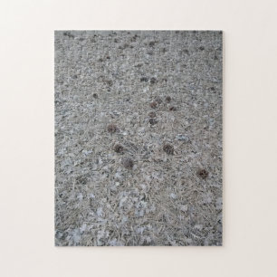Natures Tree Detritus Jigsaw Puzzle