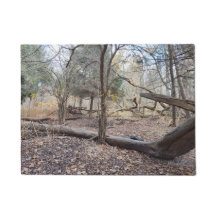 Nature's Tree Exterior Design