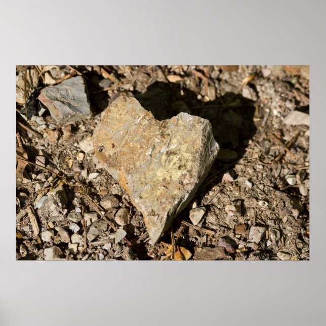 Nature's Valentine "Love Rocks" Poster (Front)