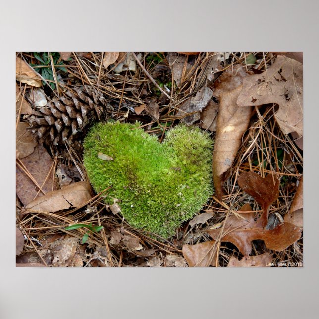 Nature's Valentine Moss Heart Poster (Front)