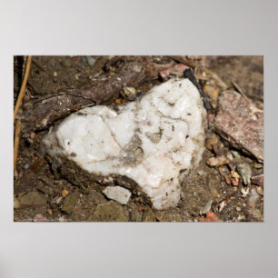 Nature's Valentine Quartz Rock Heart Poster