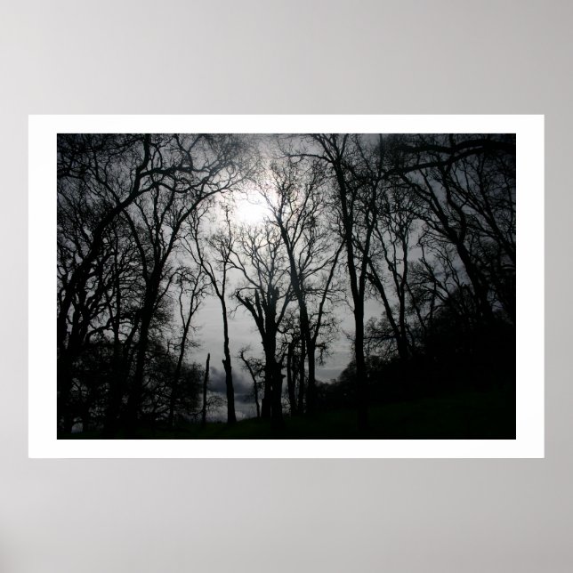 Nature's Veins Poster (Front)