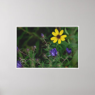 Nature's vibrant palette Stretched Canvas Print