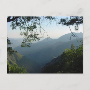 Nature's Window II Postcard