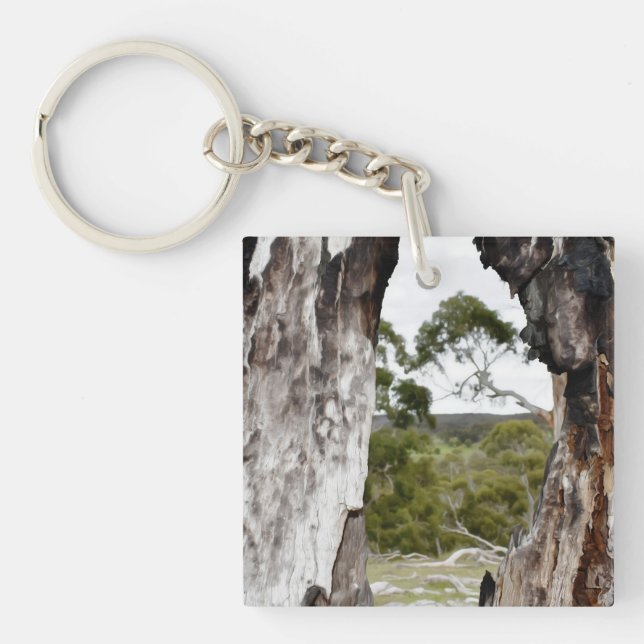 Nature's Window  Key Ring (Front)