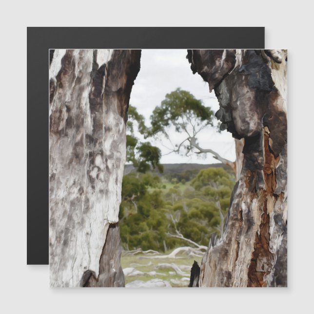 Nature's Window Magnetic Card (Front/Back)