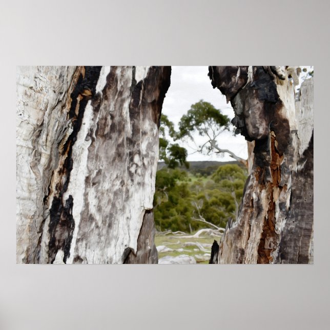 Nature's Window Poster (Front)