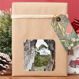Nature's Window Square Sticker