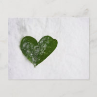 Nature's Winter Snow Romantic Heart of Love