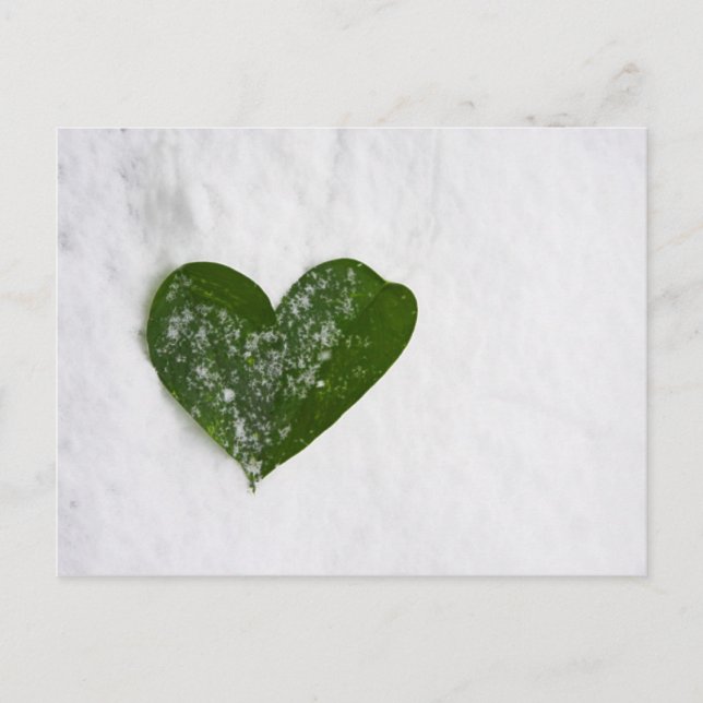 Nature's Winter Snow Romantic Heart of Love Postcard (Front)