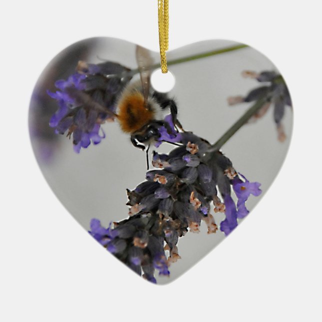 Natures Wonderful Workers Ceramic Ornament (Front)