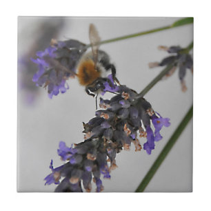 Natures Wonderful Workers Ceramic Tile