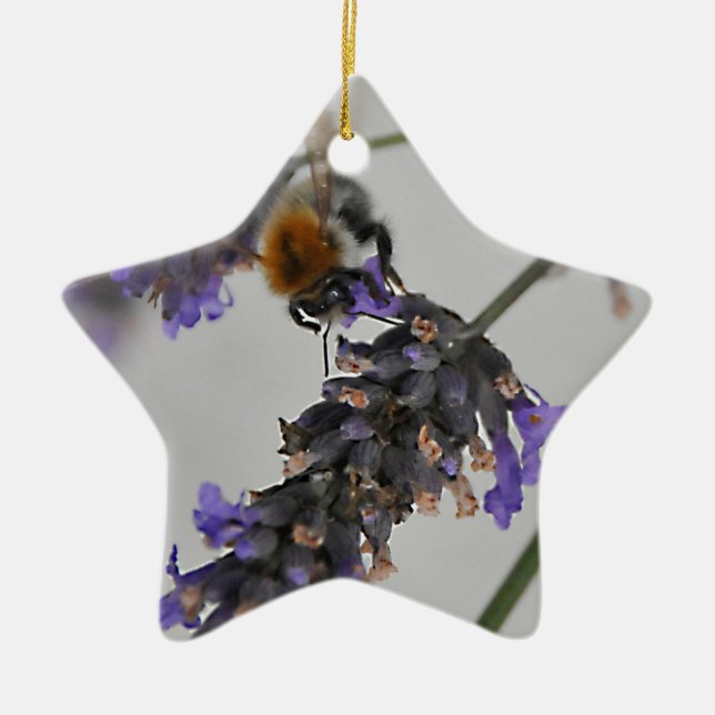 Natures Wonderful Workers Ceramic Tree Decoration (Front)