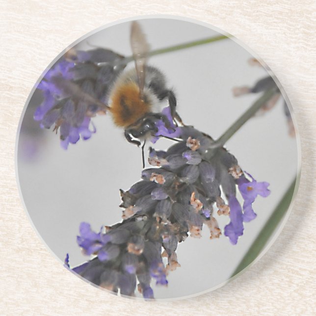 Natures Wonderful Workers Coaster (Front)